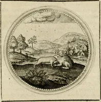 Picture 523 of 544 from Symboloru[m] & emblematum ex re herbaria desumtorum centuria vna[-quarta] collecta (1654), leaf 786