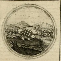 Picture 527 of 544 from Symboloru[m] & emblematum ex re herbaria desumtorum centuria vna[-quarta] collecta (1654), leaf 796