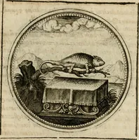Picture 533 of 544 from Symboloru[m] & emblematum ex re herbaria desumtorum centuria vna[-quarta] collecta (1654), leaf 806