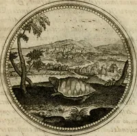 Picture 535 of 544 from Symboloru[m] & emblematum ex re herbaria desumtorum centuria vna[-quarta] collecta (1654), leaf 808