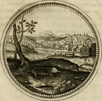 Picture 538 of 544 from Symboloru[m] & emblematum ex re herbaria desumtorum centuria vna[-quarta] collecta (1654), leaf 814