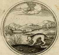 Picture 539 of 544 from Symboloru[m] & emblematum ex re herbaria desumtorum centuria vna[-quarta] collecta (1654), leaf 816
