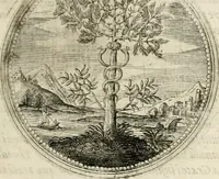 Picture 67 of 544 from Symboloru[m] & emblematum ex re herbaria desumtorum centuria vna[-quarta] collecta (1654), leaf 82