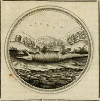 Picture 542 of 544 from Symboloru[m] & emblematum ex re herbaria desumtorum centuria vna[-quarta] collecta (1654), leaf 822