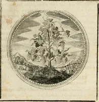 Picture 69 of 544 from Symboloru[m] & emblematum ex re herbaria desumtorum centuria vna[-quarta] collecta (1654), leaf 84