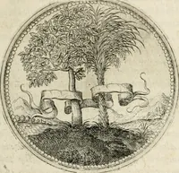 Picture 71 of 544 from Symboloru[m] & emblematum ex re herbaria desumtorum centuria vna[-quarta] collecta (1654), leaf 86