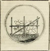 Picture 75 of 544 from Symboloru[m] & emblematum ex re herbaria desumtorum centuria vna[-quarta] collecta (1654), leaf 90