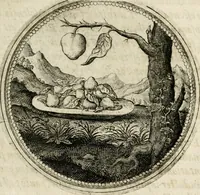 Picture 79 of 544 from Symboloru[m] & emblematum ex re herbaria desumtorum centuria vna[-quarta] collecta (1654), leaf 94