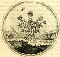 An illustration from Symbolorum et emblematum ... centuria una [-quatuor] (1654)