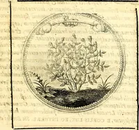 Picture 90 of 444 from Symbolorum et emblematum ... centuria una [-quatuor] (1654), leaf 104
