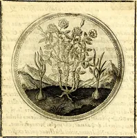 Picture 99 of 444 from Symbolorum et emblematum ... centuria una [-quatuor] (1654), leaf 114