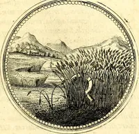 Picture 104 of 444 from Symbolorum et emblematum ... centuria una [-quatuor] (1654), leaf 120