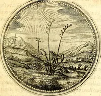 Picture 112 of 444 from Symbolorum et emblematum ... centuria una [-quatuor] (1654), leaf 128