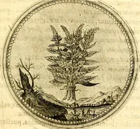 Picture 114 of 444 from Symbolorum et emblematum ... centuria una [-quatuor] (1654), leaf 130