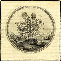 Picture 116 of 444 from Symbolorum et emblematum ... centuria una [-quatuor] (1654), leaf 132