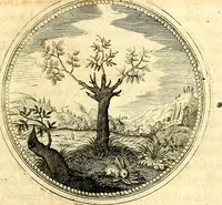 An illustration from Symbolorum et emblematum ... centuria una [-quatuor] (1654)