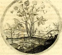Picture 126 of 444 from Symbolorum et emblematum ... centuria una [-quatuor] (1654), leaf 142