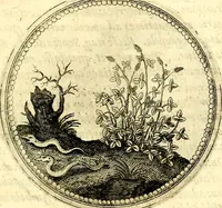 Picture 140 of 444 from Symbolorum et emblematum ... centuria una [-quatuor] (1654), leaf 156