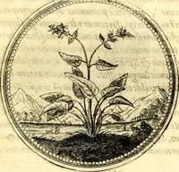 Picture 146 of 444 from Symbolorum et emblematum ... centuria una [-quatuor] (1654), leaf 162
