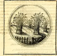 Picture 148 of 444 from Symbolorum et emblematum ... centuria una [-quatuor] (1654), leaf 164