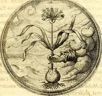 Picture 152 of 444 from Symbolorum et emblematum ... centuria una [-quatuor] (1654), leaf 168