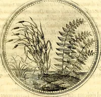 Picture 155 of 444 from Symbolorum et emblematum ... centuria una [-quatuor] (1654), leaf 172