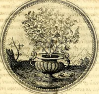 Picture 157 of 444 from Symbolorum et emblematum ... centuria una [-quatuor] (1654), leaf 174