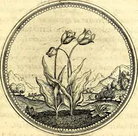 Picture 165 of 444 from Symbolorum et emblematum ... centuria una [-quatuor] (1654), leaf 184