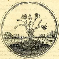 Picture 167 of 444 from Symbolorum et emblematum ... centuria una [-quatuor] (1654), leaf 186