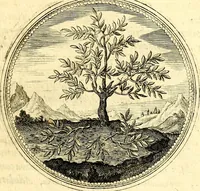 An illustration from Symbolorum et emblematum ... centuria una [-quatuor] (1654)