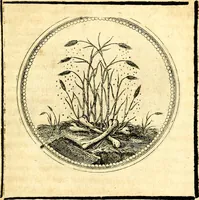 Picture 188 of 444 from Symbolorum et emblematum ... centuria una [-quatuor] (1654), leaf 208