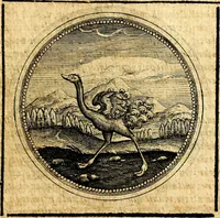Picture 211 of 444 from Symbolorum et emblematum ... centuria una [-quatuor] (1654), leaf 246