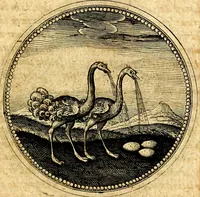 Picture 213 of 444 from Symbolorum et emblematum ... centuria una [-quatuor] (1654), leaf 248