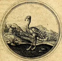 Picture 215 of 444 from Symbolorum et emblematum ... centuria una [-quatuor] (1654), leaf 250