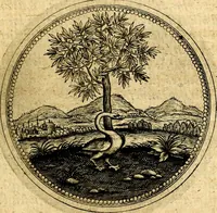 Picture 221 of 444 from Symbolorum et emblematum ... centuria una [-quatuor] (1654), leaf 262