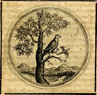 Picture 226 of 444 from Symbolorum et emblematum ... centuria una [-quatuor] (1654), leaf 272