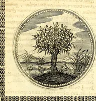Picture 19 of 444 from Symbolorum et emblematum ... centuria una [-quatuor] (1654), leaf 28