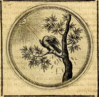 Picture 230 of 444 from Symbolorum et emblematum ... centuria una [-quatuor] (1654), leaf 280