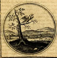 Picture 232 of 444 from Symbolorum et emblematum ... centuria una [-quatuor] (1654), leaf 284