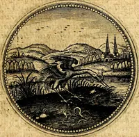 Picture 237 of 444 from Symbolorum et emblematum ... centuria una [-quatuor] (1654), leaf 290