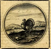 Picture 246 of 444 from Symbolorum et emblematum ... centuria una [-quatuor] (1654), leaf 306