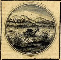 Picture 248 of 444 from Symbolorum et emblematum ... centuria una [-quatuor] (1654), leaf 310