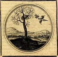 Picture 255 of 444 from Symbolorum et emblematum ... centuria una [-quatuor] (1654), leaf 326