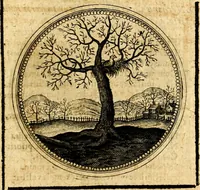 Picture 258 of 444 from Symbolorum et emblematum ... centuria una [-quatuor] (1654), leaf 334