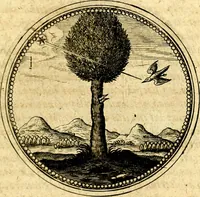Picture 264 of 444 from Symbolorum et emblematum ... centuria una [-quatuor] (1654), leaf 344