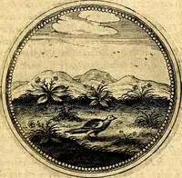 Picture 269 of 444 from Symbolorum et emblematum ... centuria una [-quatuor] (1654), leaf 352