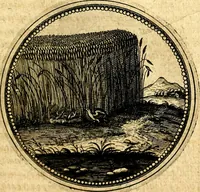 Picture 272 of 444 from Symbolorum et emblematum ... centuria una [-quatuor] (1654), leaf 356