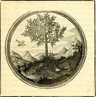 Picture 26 of 444 from Symbolorum et emblematum ... centuria una [-quatuor] (1654), leaf 36