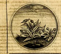 Picture 275 of 444 from Symbolorum et emblematum ... centuria una [-quatuor] (1654), leaf 360