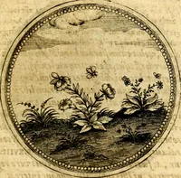 Picture 292 of 444 from Symbolorum et emblematum ... centuria una [-quatuor] (1654), leaf 392